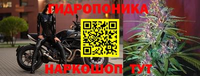 кокс Беслан