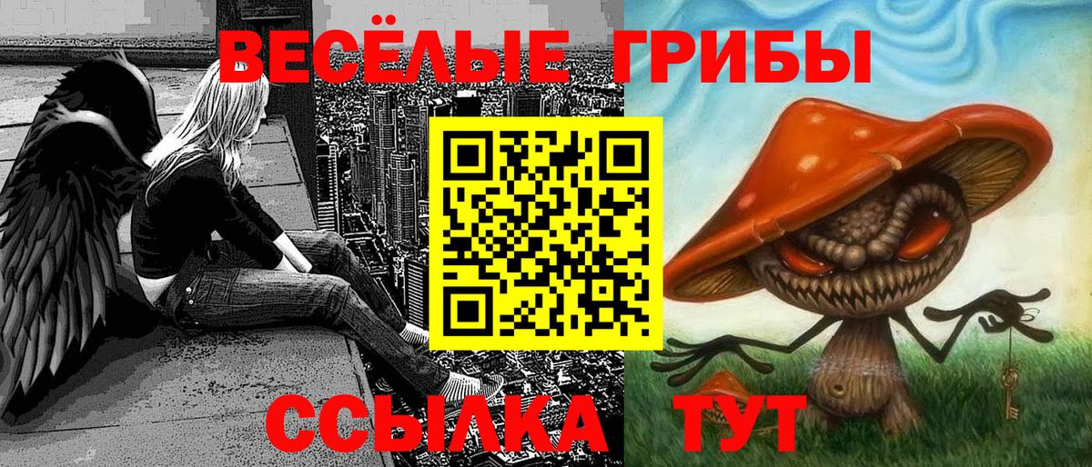 Псилоцибиновые грибы мухоморы Киров