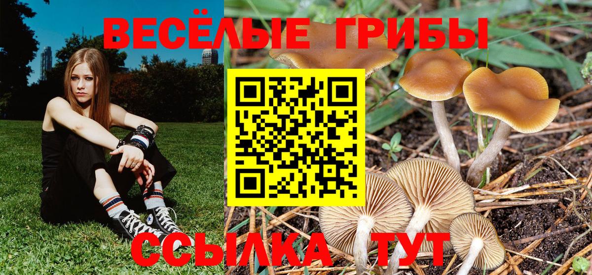 Псилоцибиновые грибы Magic Shrooms  Галлюциногенные грибы прущие грибы  Вход с VPN  Киров 